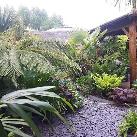 Cabin Set In A Beautiful Romantic Tropical Garden Sutton Coldfield Exterior photo
