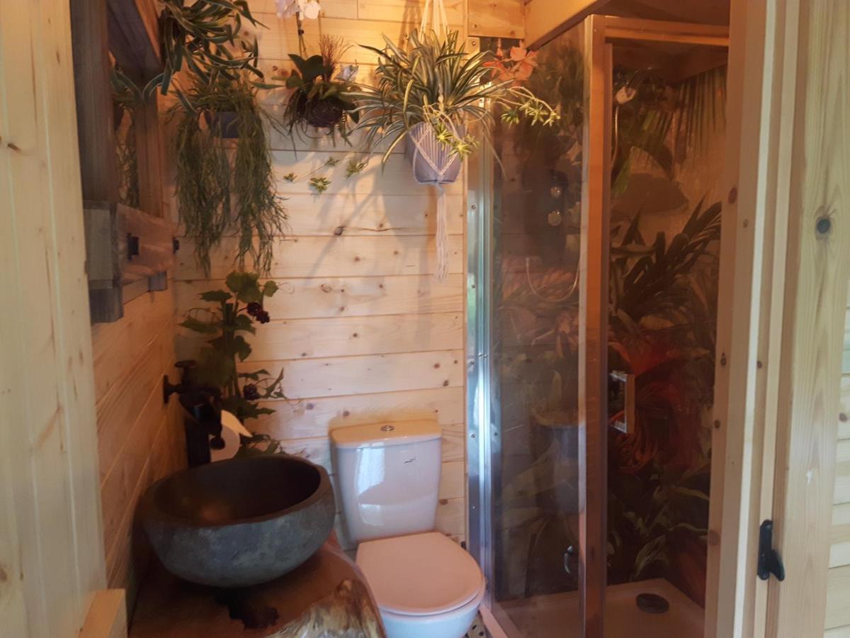 Cabin Set In A Beautiful Romantic Tropical Garden Sutton Coldfield Exterior photo
