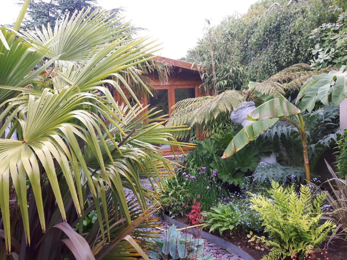 Cabin Set In A Beautiful Romantic Tropical Garden Sutton Coldfield Exterior photo